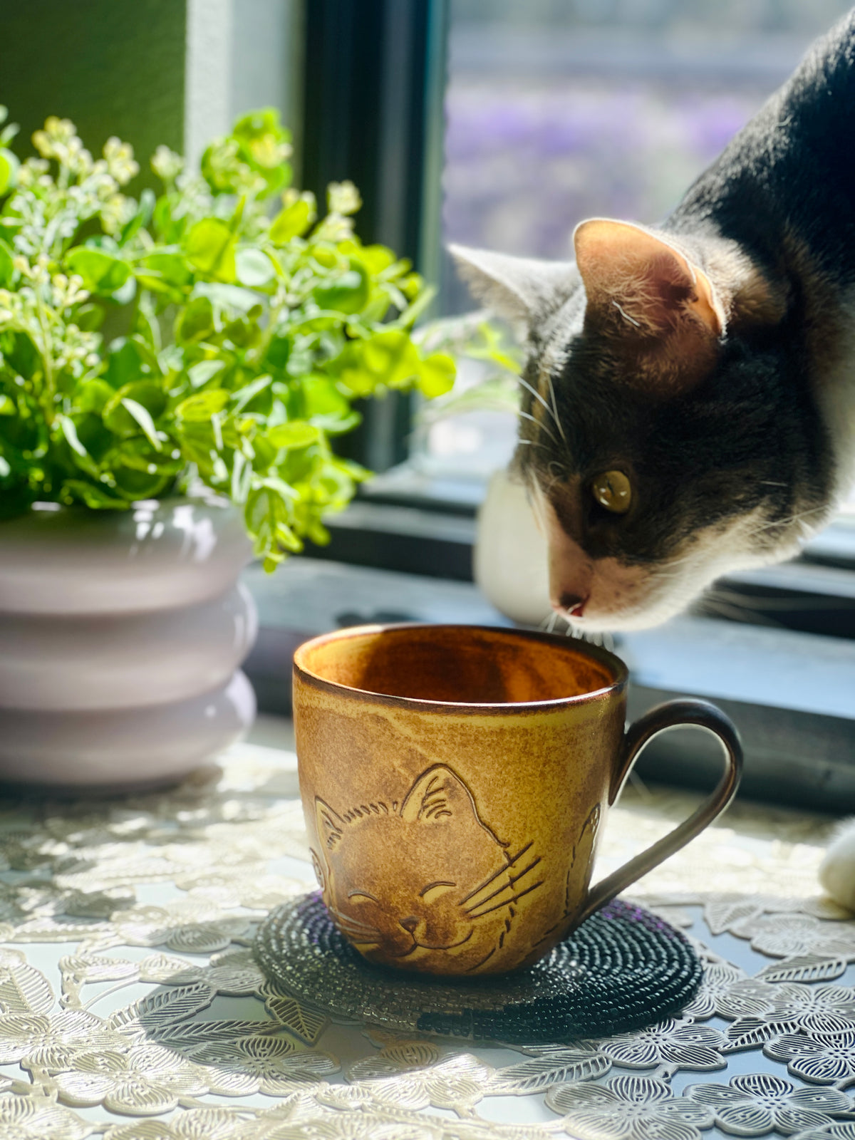 Cat sniffing a brown mug with a cat design on a table next to a plant