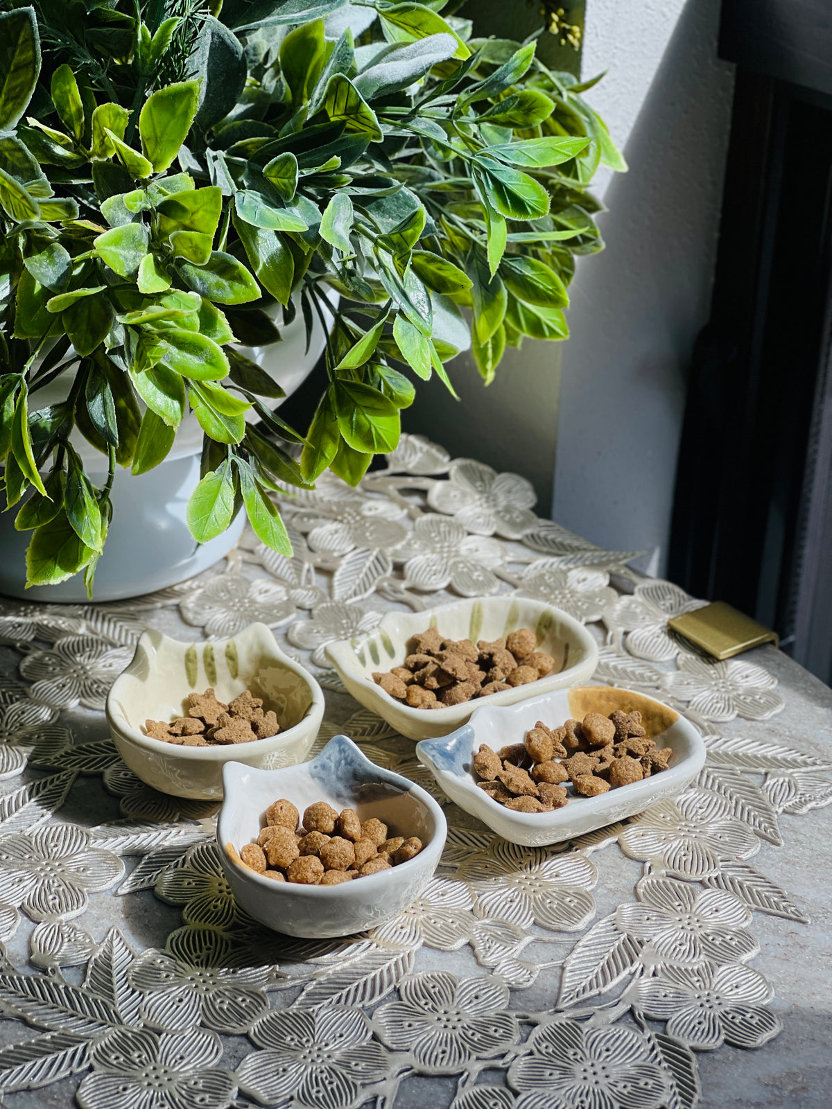 Bowls of pet food on a table with a plant in the background