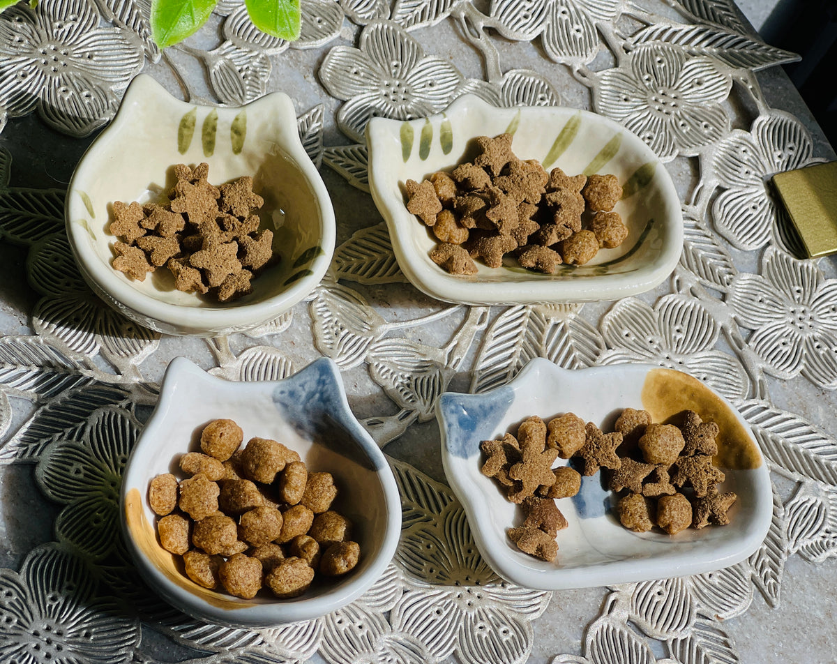 Four ceramic bowls with pet food on a decorative surface