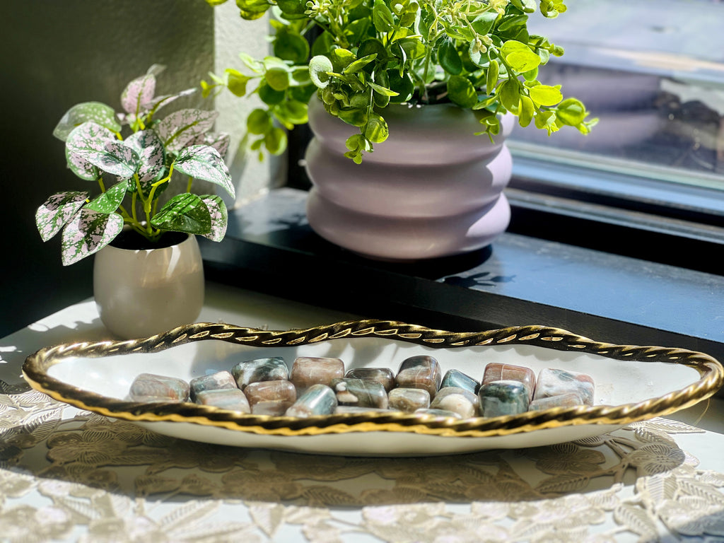 Two potted plants on a windowsill with a decorative tray in the foreground.