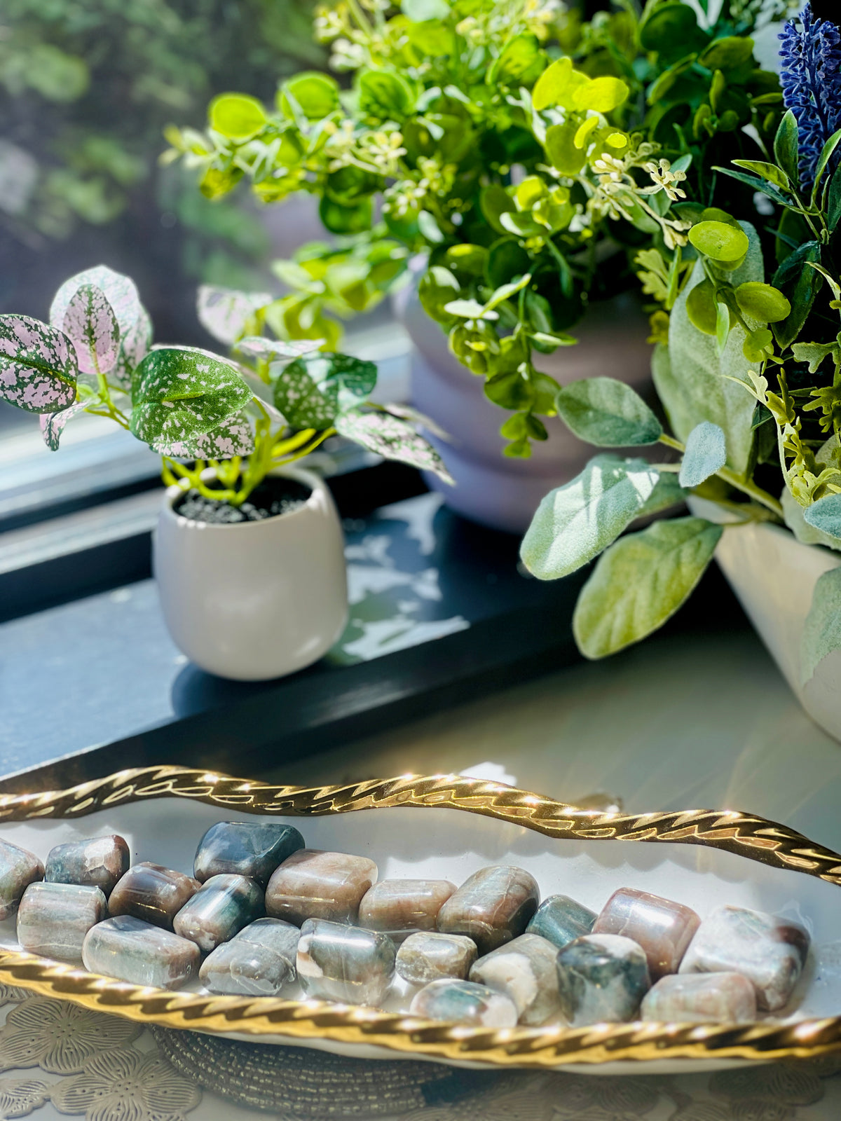 Decorative tray with stones and a small plant on a surface with more plants in the background.
