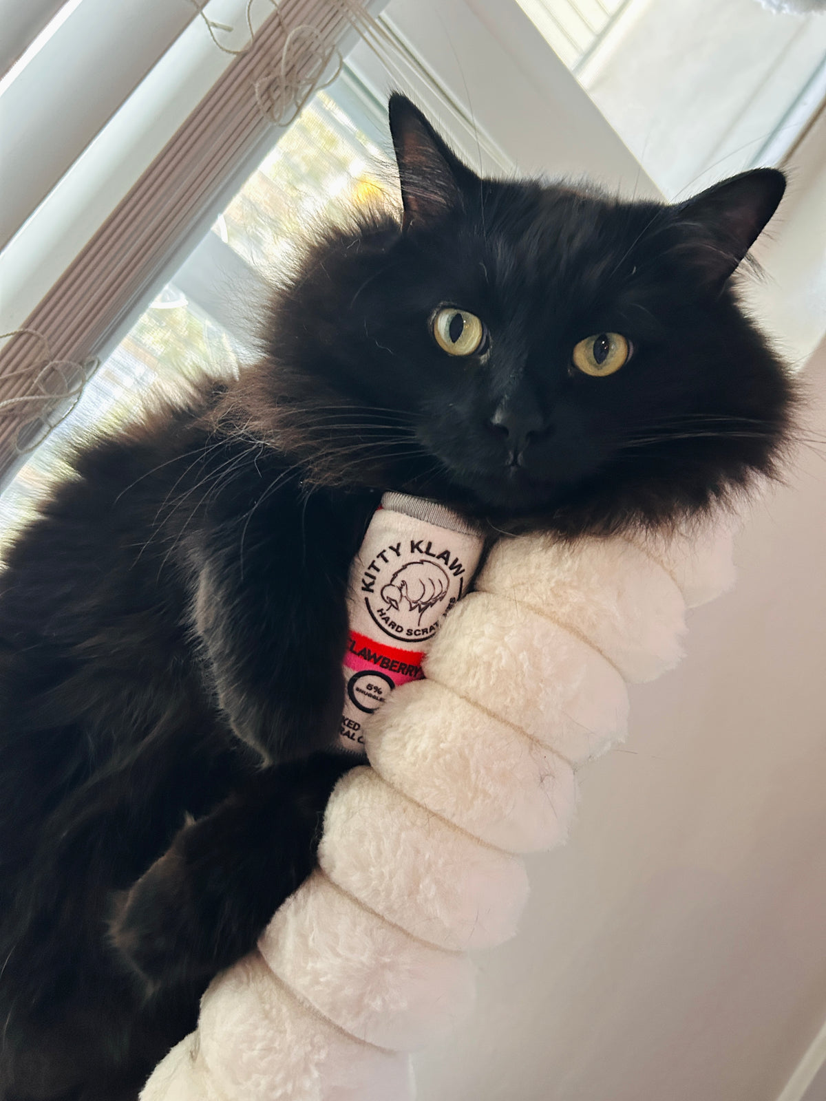 HUXLEY & KENT Cat Kitty Klaw Clawberry