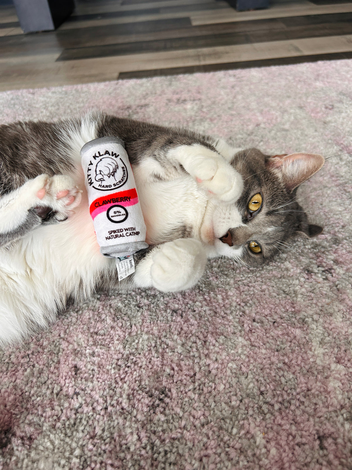 HUXLEY & KENT Cat Kitty Klaw Clawberry