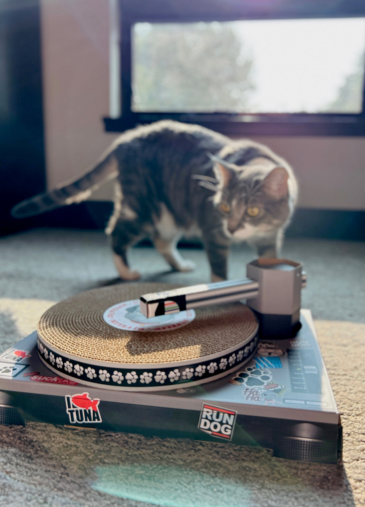 Cat Toy Scratch Turntable - Cardboard DJ scratching deck