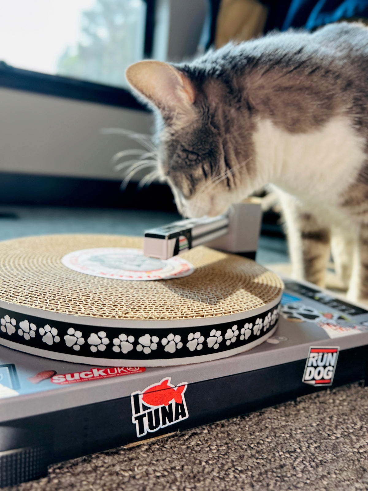 Cat Toy Scratch Turntable - Cardboard DJ scratching deck