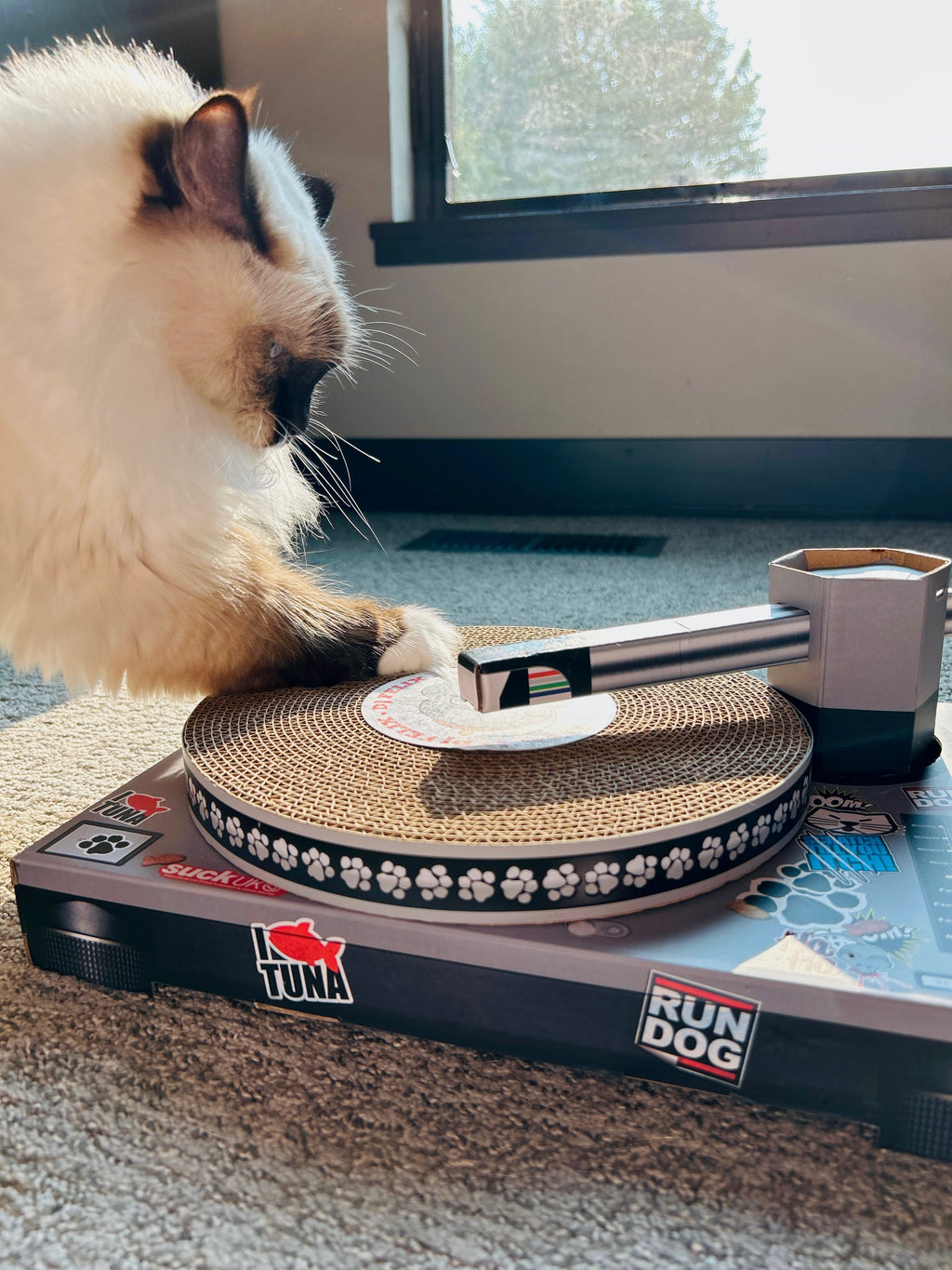 Cat Toy Scratch Turntable - Cardboard DJ scratching deck