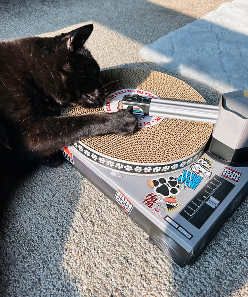 Cat Toy Scratch Turntable - Cardboard DJ scratching deck