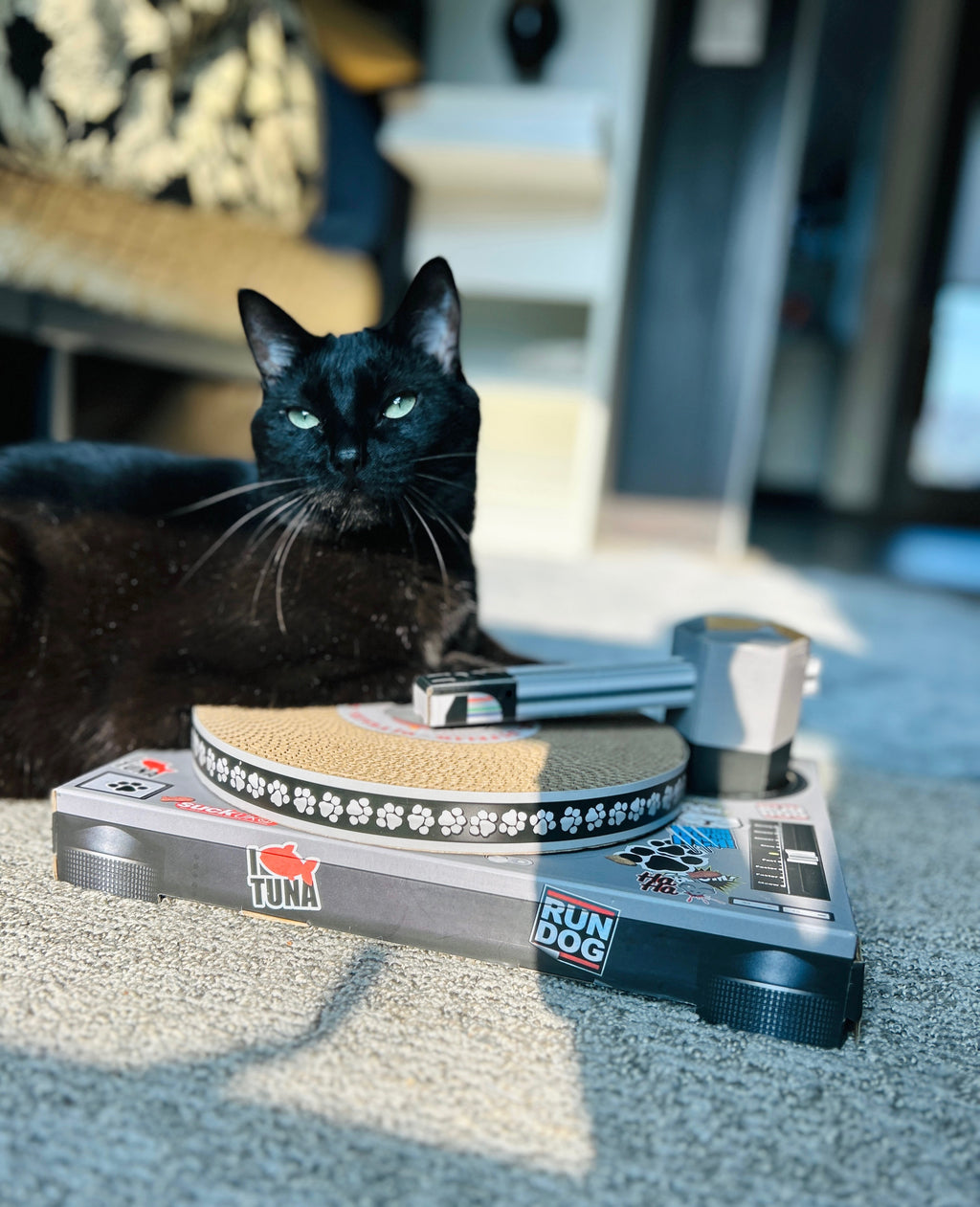 Cat Toy Scratch Turntable - Cardboard DJ scratching deck