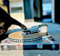 Cat Toy Scratch Turntable - Cardboard DJ scratching deck