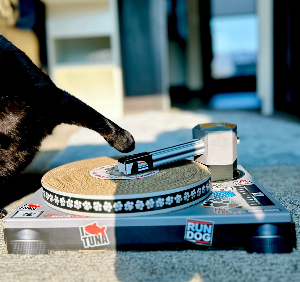 Cat Toy Scratch Turntable - Cardboard DJ scratching deck