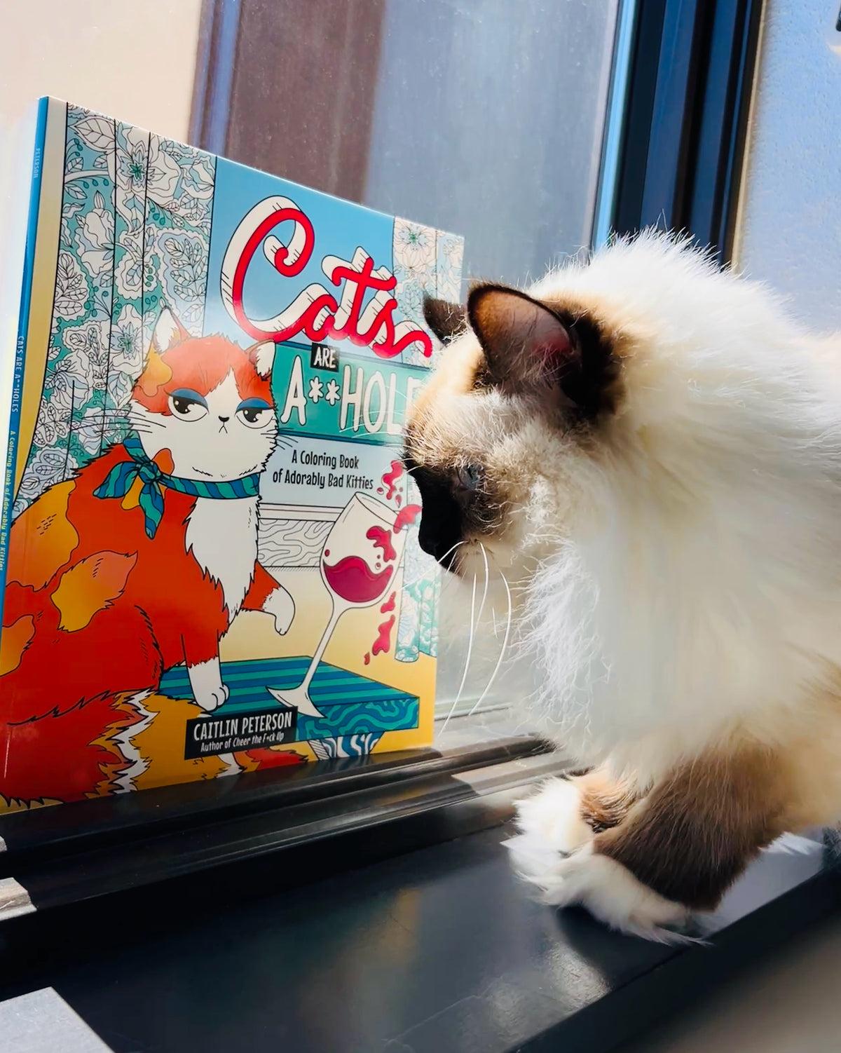 Cats Are A**Holes: A Coloring Book Of Adorably Bad Kitties