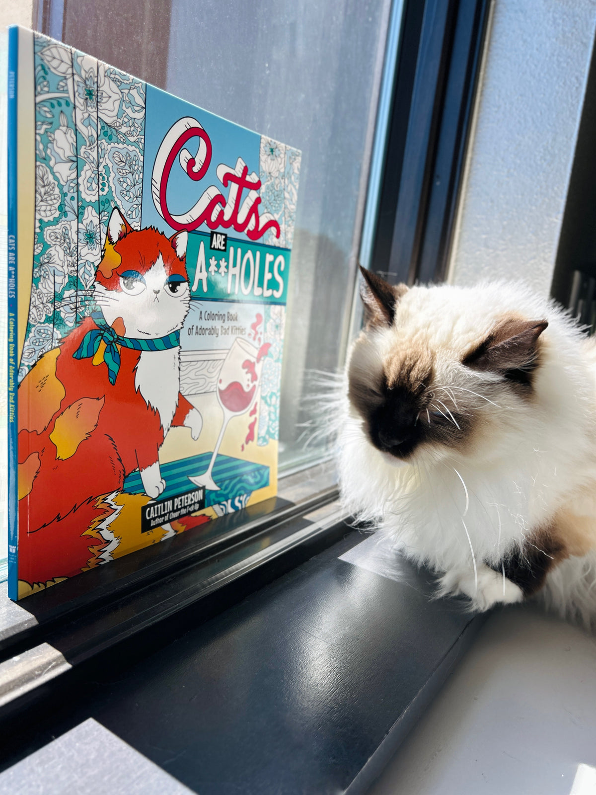 Cats Are A**Holes: A Coloring Book Of Adorably Bad Kitties