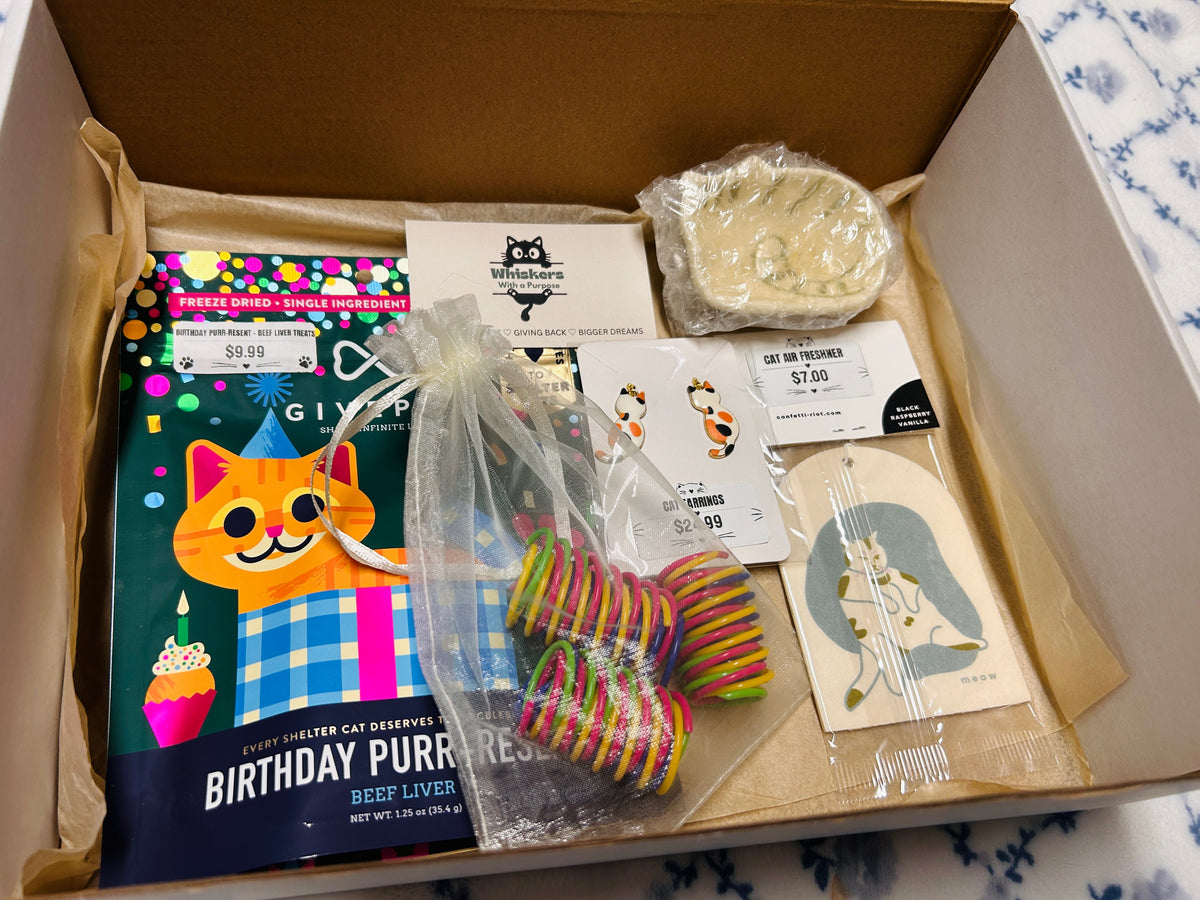 Cat Lover Birthday Box 🎂