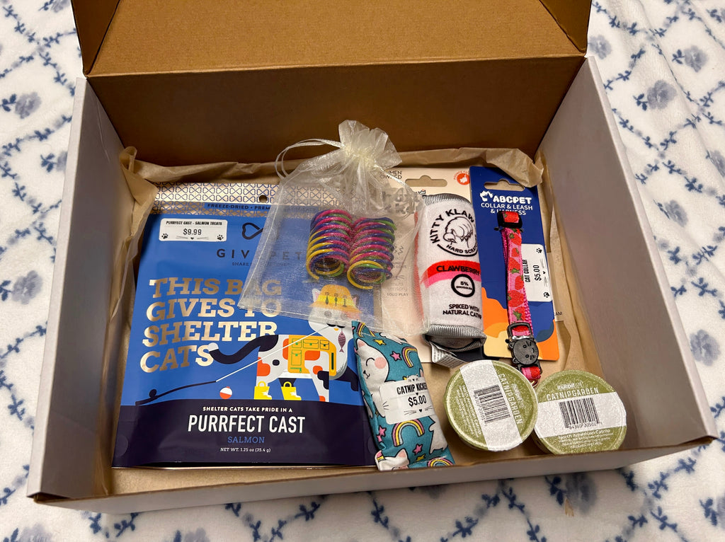 Kitty Essentials Box 🐱