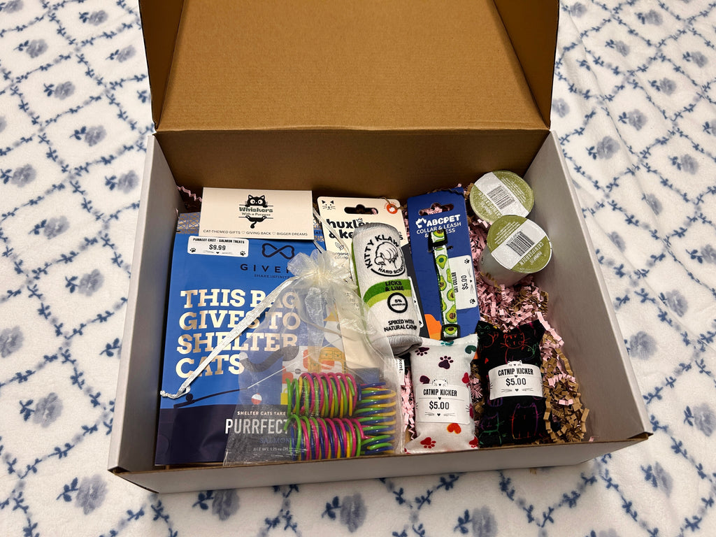 Spoil Your Kitty Box 🐾
