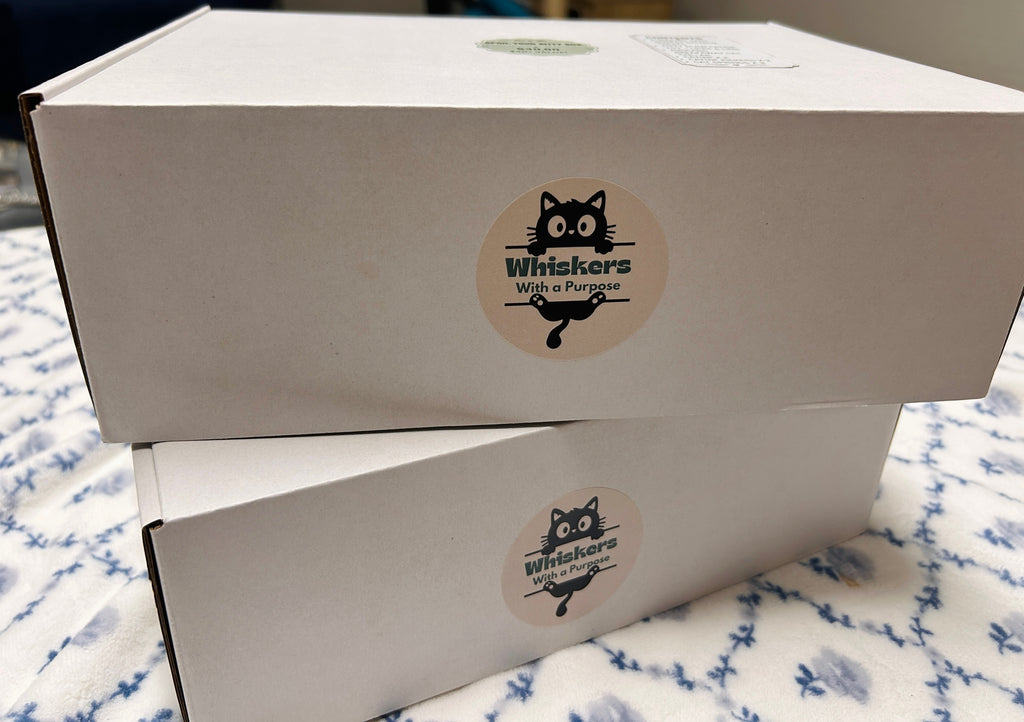 Kitty Essentials Box 🐱
