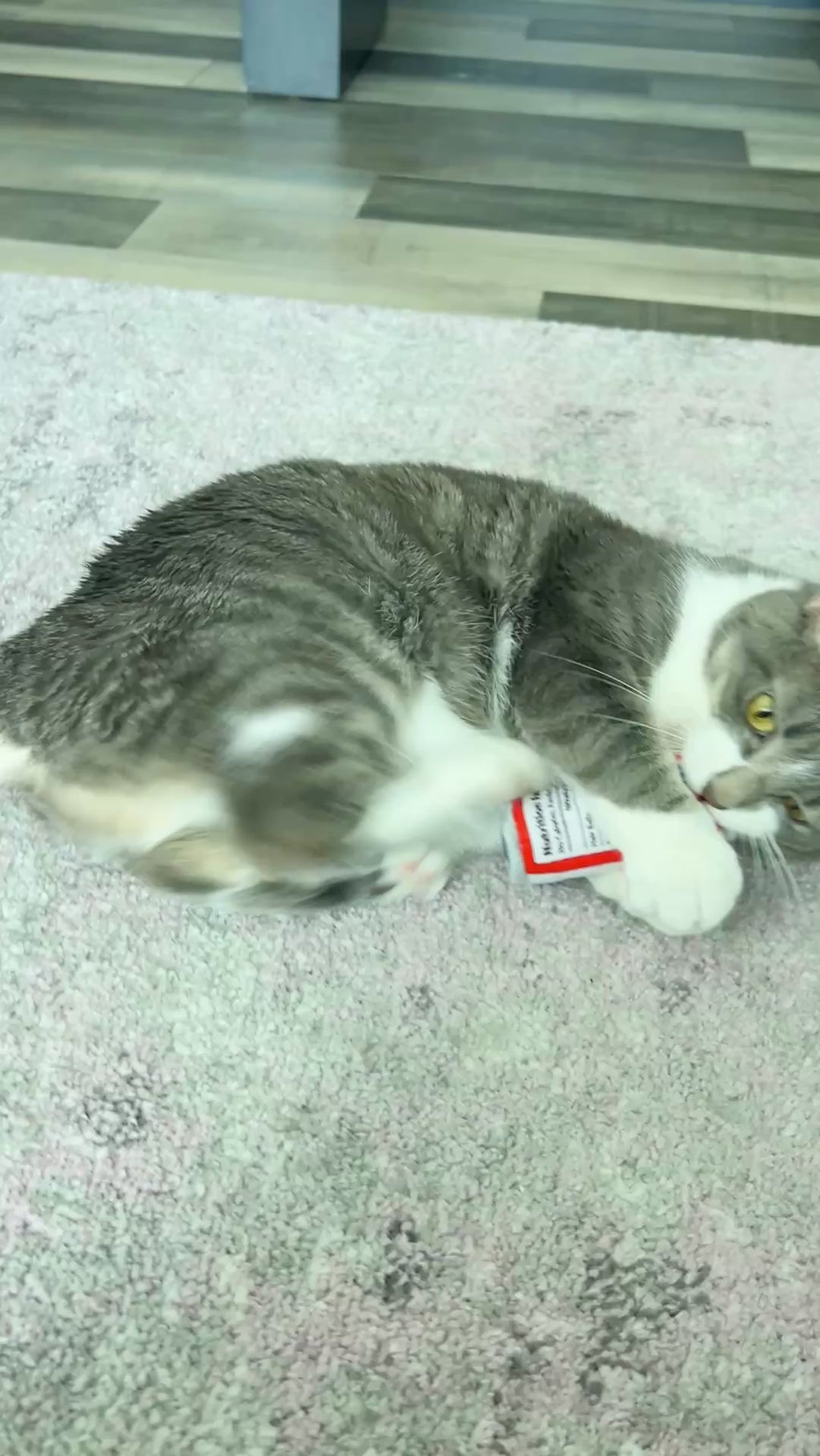 HUXLEY & KENT Cat Kitty Klaw Clawberry