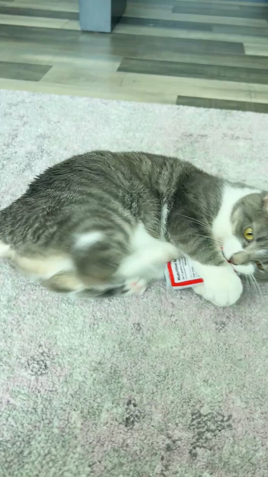 HUXLEY & KENT Cat Kitty Klaw Clawberry