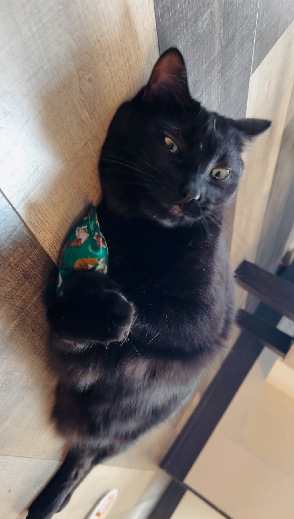 Handmade Cat Kicker Toy