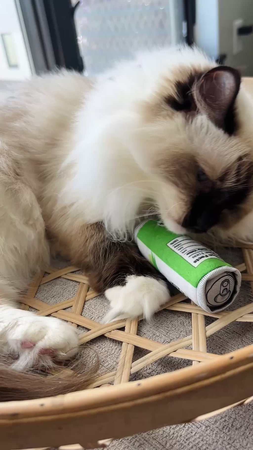 HUXLEY & KENT Cat Kitty Klaw Licks & Lime